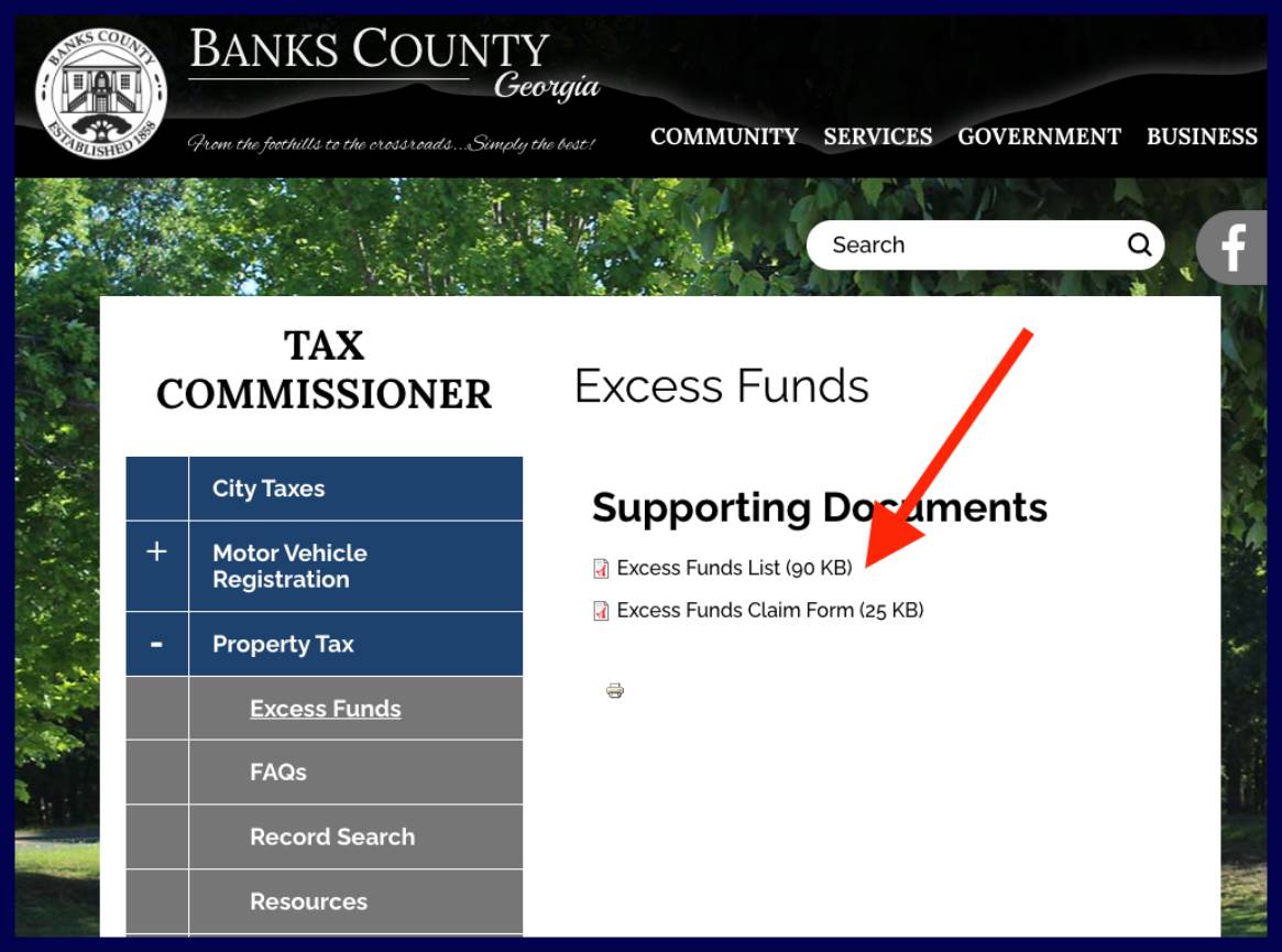 banks county excess funds list