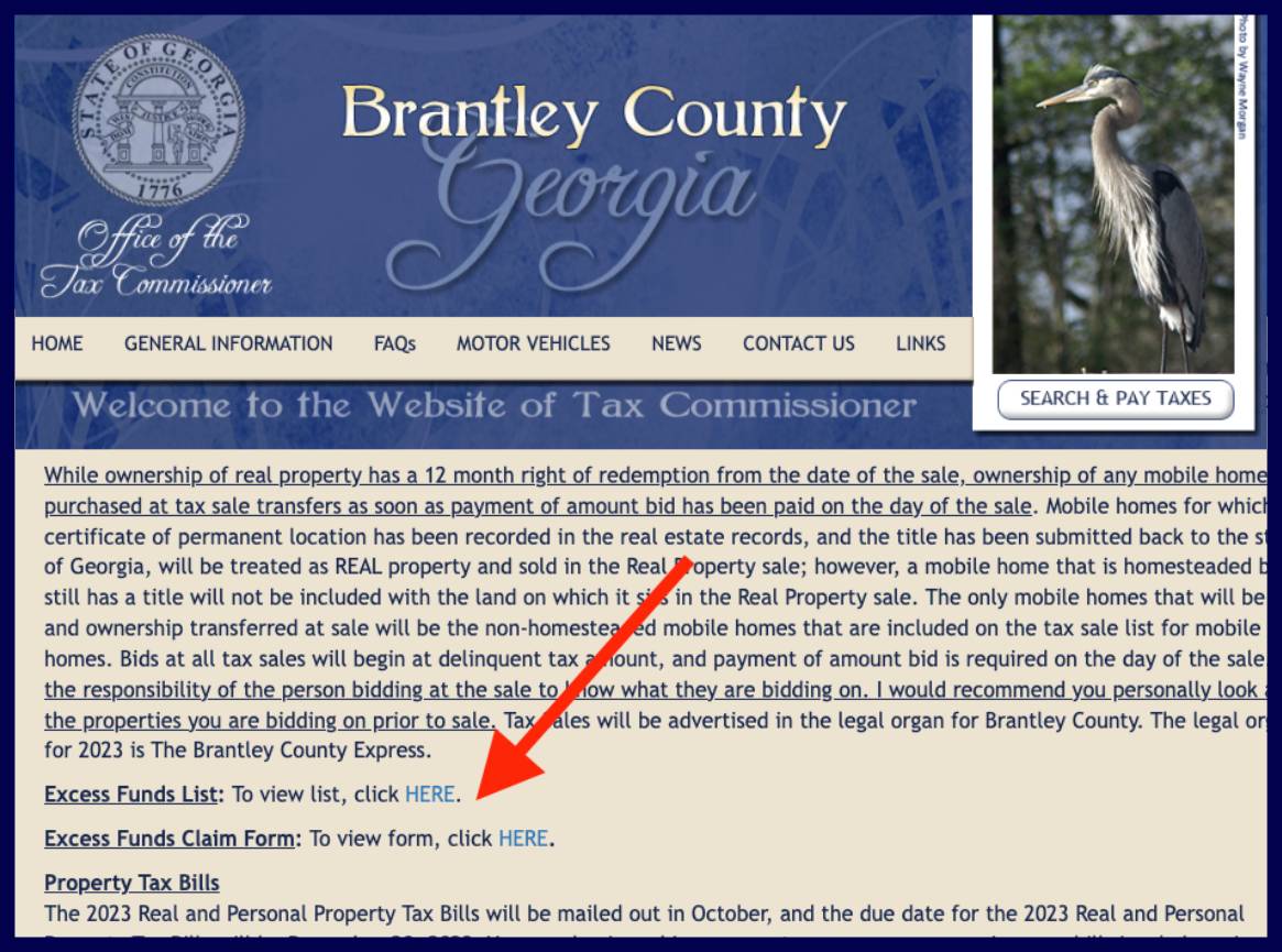 brantley county excess funds list