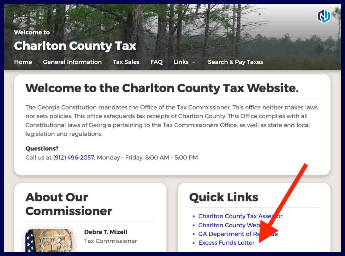 charlton county excess funds list