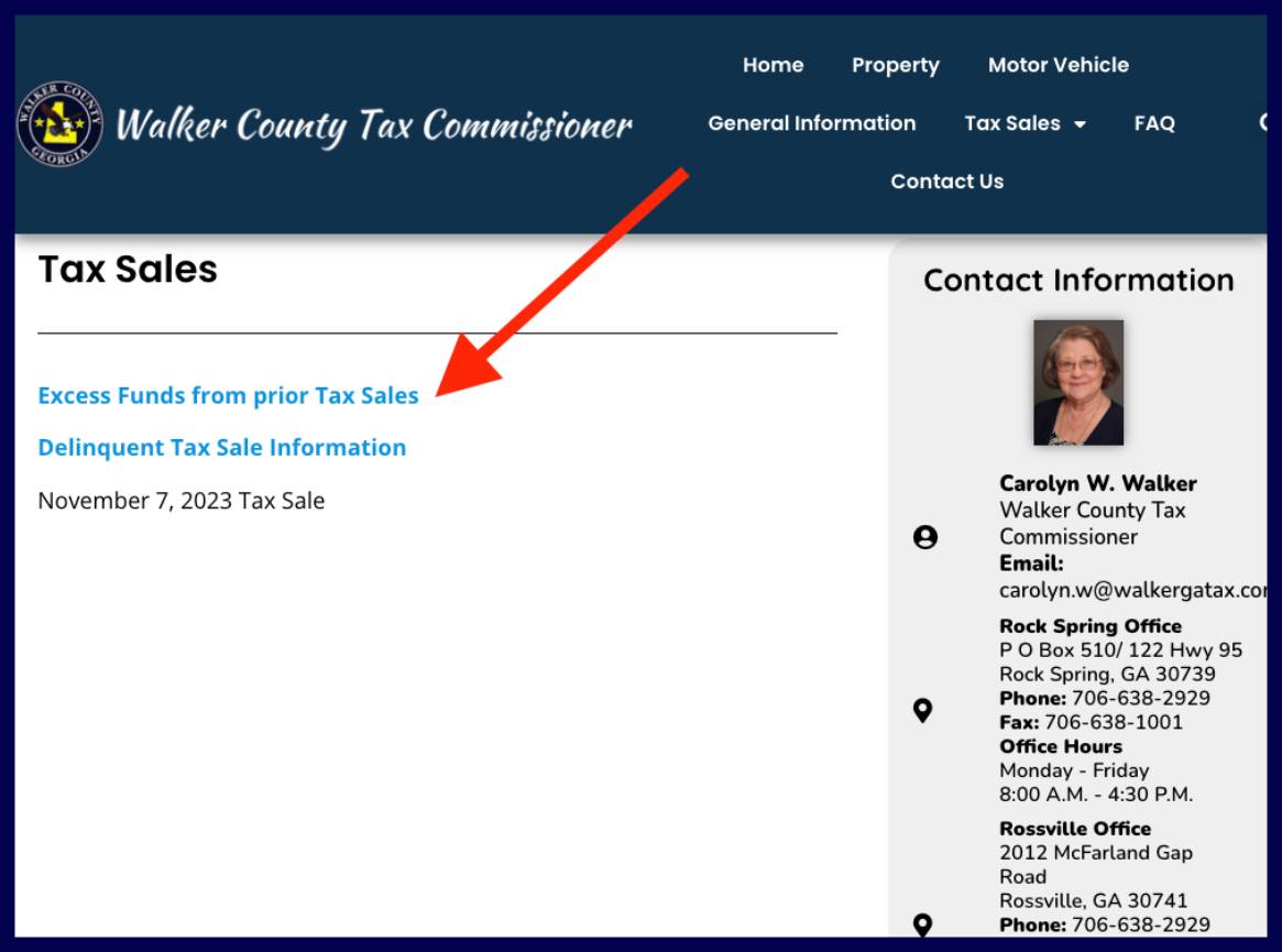 walker county excess funds list