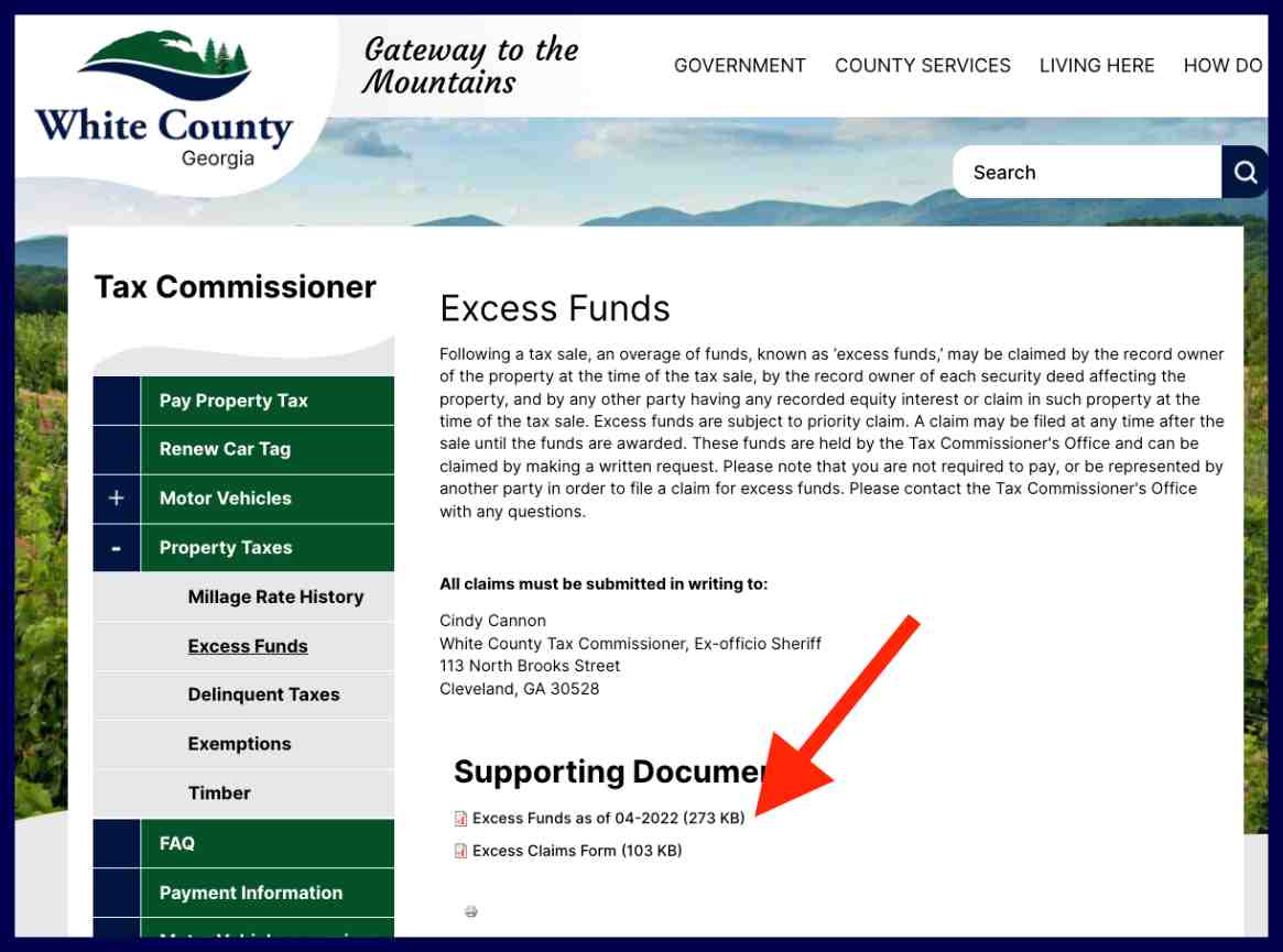 white county excess funds list